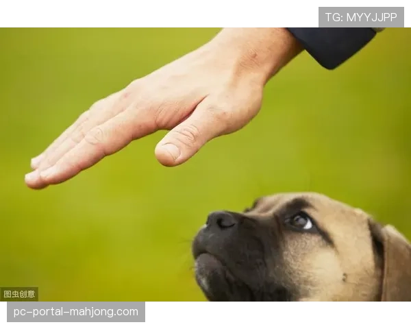安赛龙独家专访：谈巴黎奥运后目标，家庭与训练平衡之道。